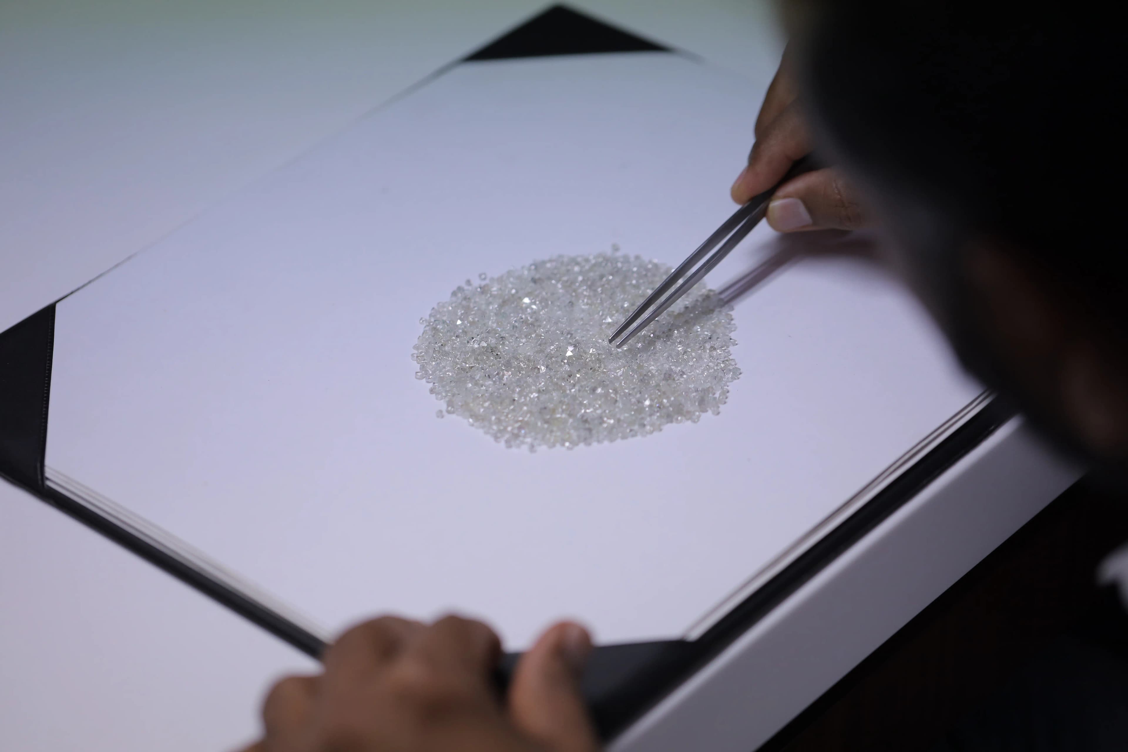 Rough Diamond Assortment and Planning